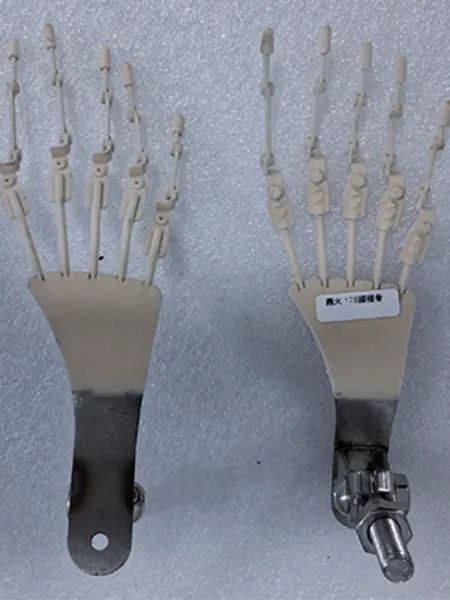 Articulated Toes